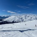 IMG-20200308-WA0004