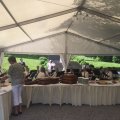 IMG_3454.1