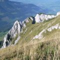 aimg_0061